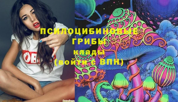 спайс Кулебаки