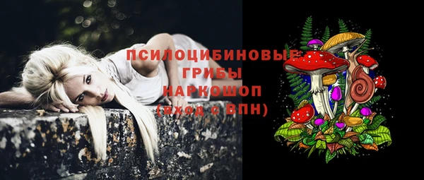 метадон Кукмор