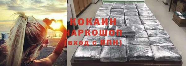 спайс Кулебаки